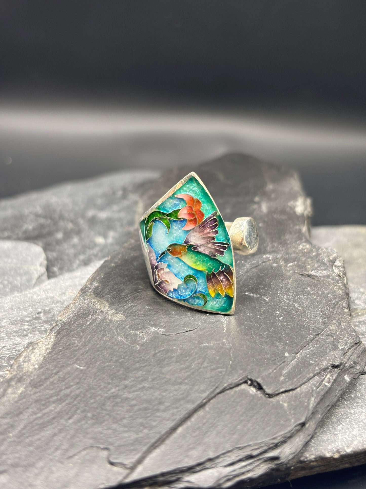 Set “Hummingbirds in the blooming garden”